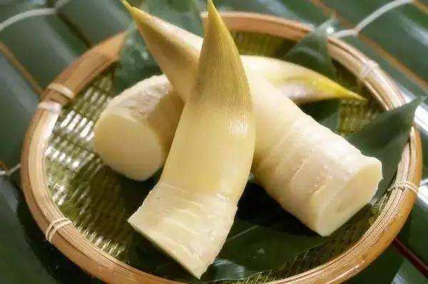 這么多優點的竹筍烘干機多少錢一臺？