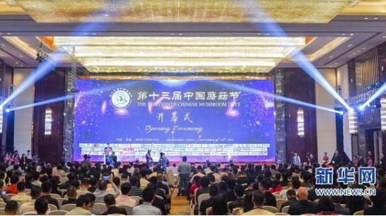 中國食用菌行業探尋升級路