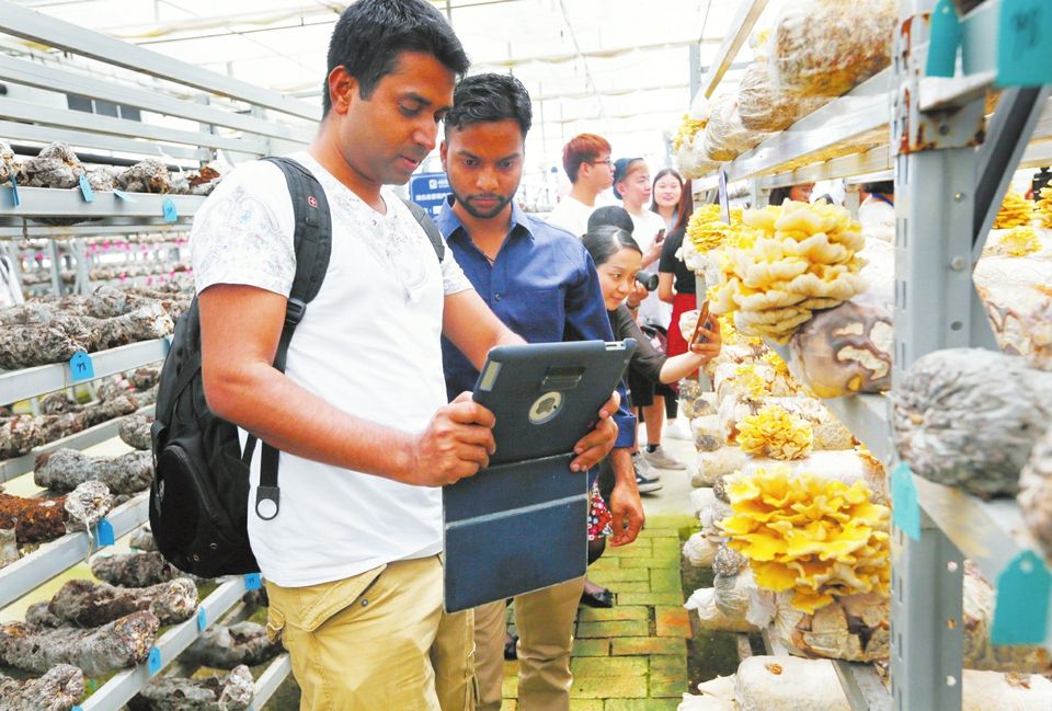 2019年隨州國際香菇產業博覽會將12月6日盛大啟幕