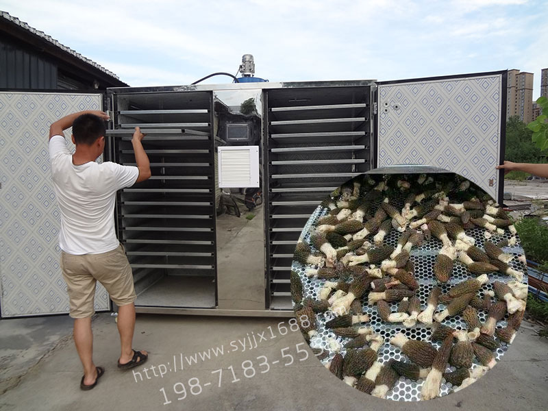 1578558085618280.jpg DSC02660.jpg